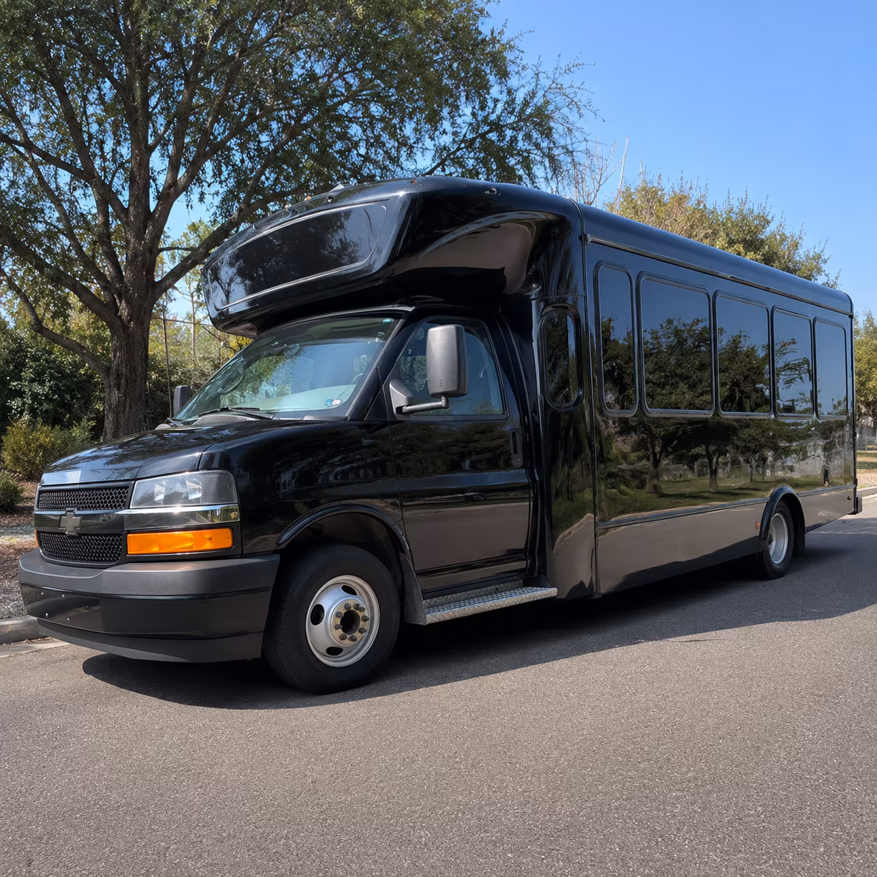 Group beside a Mercedes Sprinter limo in Nashville